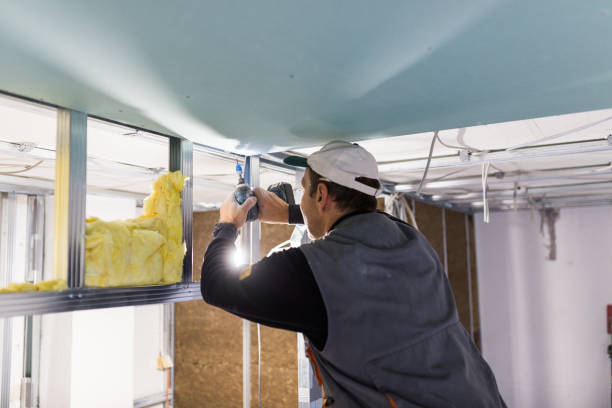 Best Attic Insulation Installation  in The Galena Territory, IL