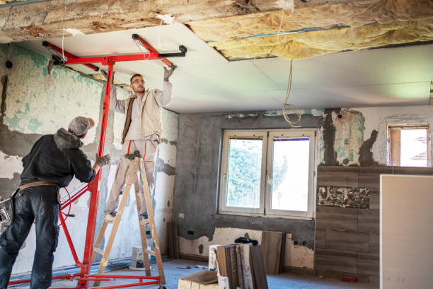 Best Insulation for New Construction  in The Galena Territory, IL