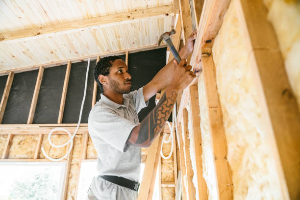 Best Attic Insulation Installation  in The Galena Territory, IL